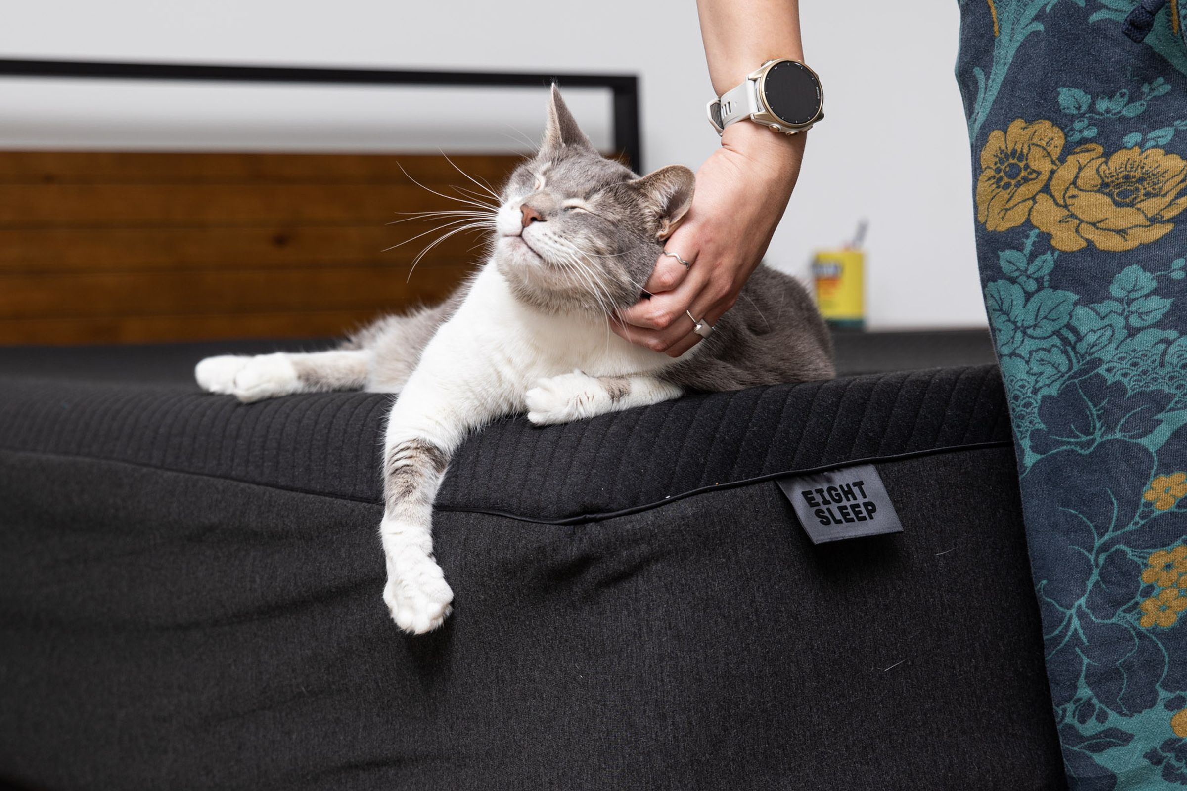 Closeup of rotund cat on Eight Sleep Pod 4 Ultra bed.