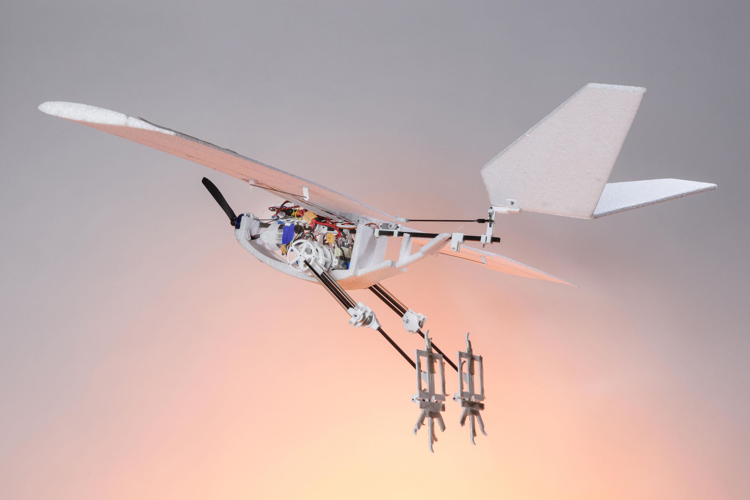 EPFL’s RAVEN drone shown posed in flight with its bird-inspired legs dangling.