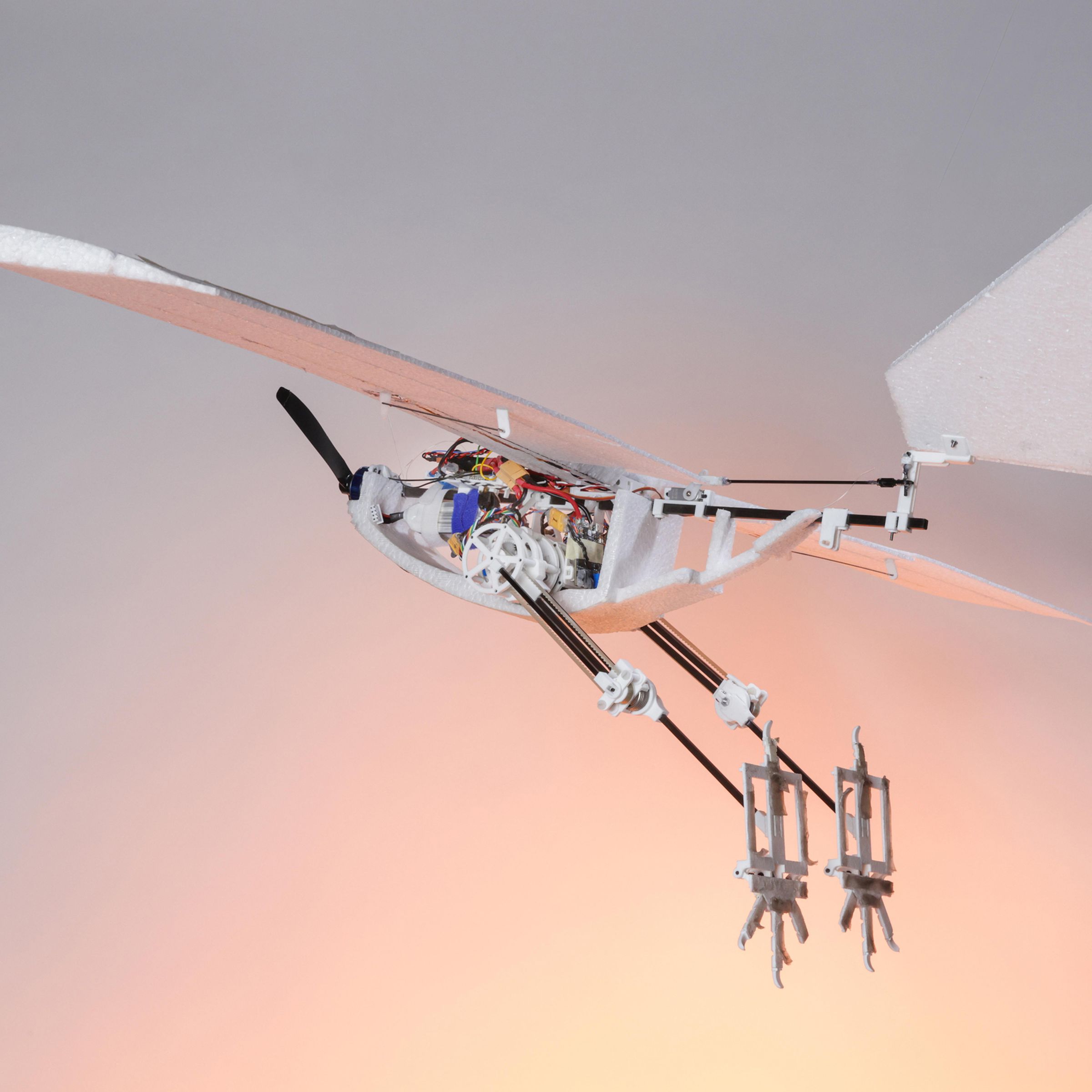 EPFL’s RAVEN drone shown posed in flight with its bird-inspired legs dangling.